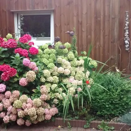 1 Raum Appartement mit Küchenzeile in Kappeln Exterior foto
